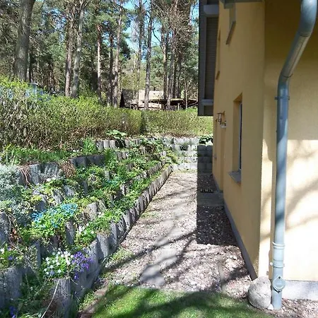 Amelie Χέρινγκσντορφ