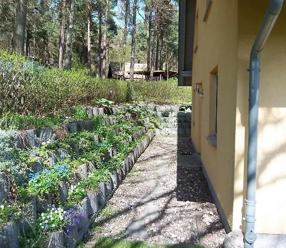 Amelie הרינגסדורף